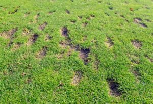 Hit the Ball Straighter – Your Divot Holds the Secret