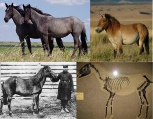 Wildhorse Welcomes Three Thrilling Sponsor-Exemption Golfers