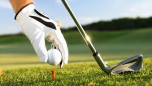 Area Boys Wrap Up Thrilling Golf Season at Division III District Tournament