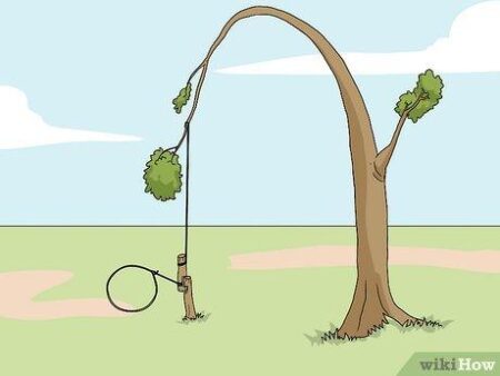 Thrilling Tree Trap Escape Showcases a Bold Reverse-Grip Rescue Thrilling Tree Trap Escape Showcases a Bold Reverse-Grip Rescue