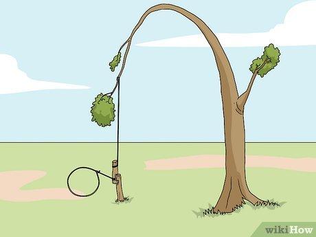Thrilling Tree Trap Escape Showcases a Bold Reverse-Grip Rescue Thrilling Tree Trap Escape Showcases a Bold Reverse-Grip Rescue