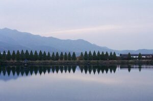 Wake Forest’s Ketchum and Kovelesky Shine on Prestigious Fall ANNIKA Award Watchlist