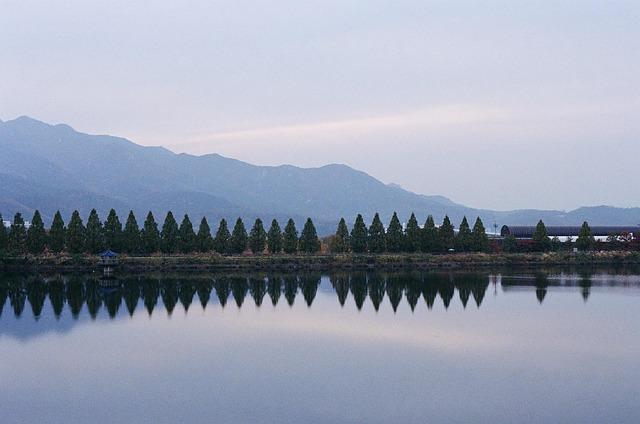 Wake Forest’s Ketchum and Kovelesky Shine on Prestigious Fall ANNIKA Award Watchlist