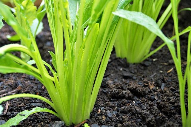 Battle of the Best: Which Iron Brand Came Out on Top in My Fitting?