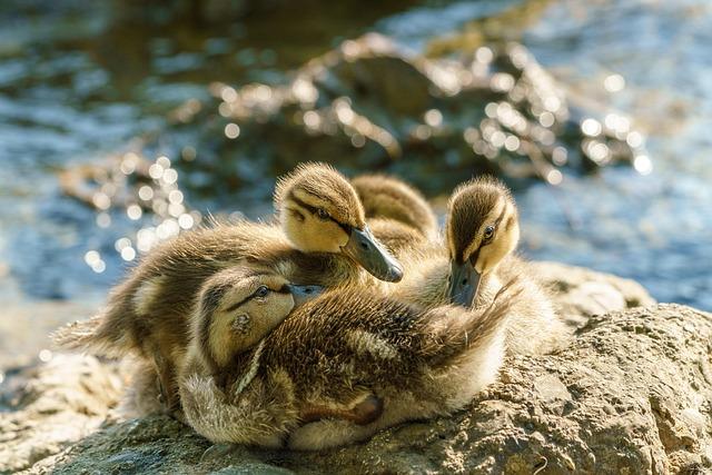 Golf Legend and Two-Time Major Champion Dies at 74