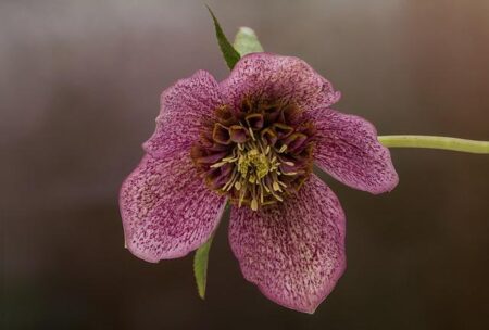 Multiple PGA Tour Champion Billy Horschel Shares an Inspiring Message for Golf Fans