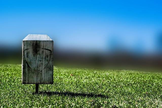 Master the Game: Essential Rules for Teeing Off Ahead of the Markers Master the Game: Essential Rules for Teeing Off Ahead of the Markers