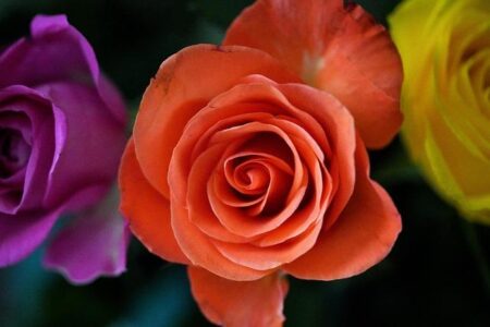 Jon Rahm Shocks Golf World by Choosing LIV Golf Over PGA Tour Opportunity Jon Rahm Shocks Golf World by Choosing LIV Golf Over PGA Tour Opportunity