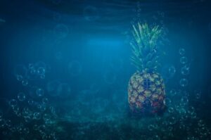 Bob Does Sports and Takomo Join Forces for an Exciting New Partnership