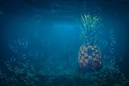 Bob Does Sports and Takomo Join Forces for an Exciting New Partnership Bob Does Sports and Takomo Join Forces for an Exciting New Partnership