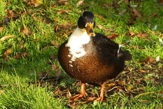 How the World Cup is Driving Nike Golf’s Next Generation of Apparel Innovation