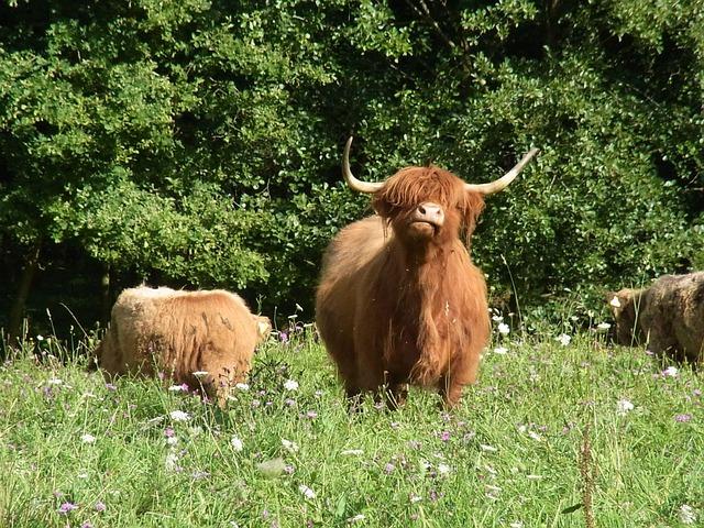 Schott Triumphs in Thrilling Playoff Showdown to Win Bahrain Championship