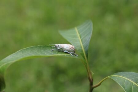 Wesley Bryan slams PGA Tour leadership and calls for new leader to take charge – Golfmagic