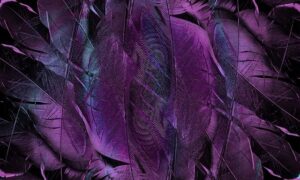 Scheffler Shrugs Off Slump Talk: “I’m My Biggest Critic