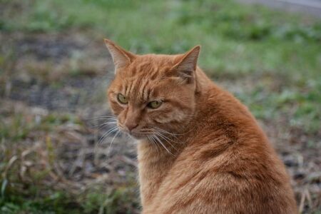 Boost Your Performance: Why Adjusting Your Eye Line Could Change Everything