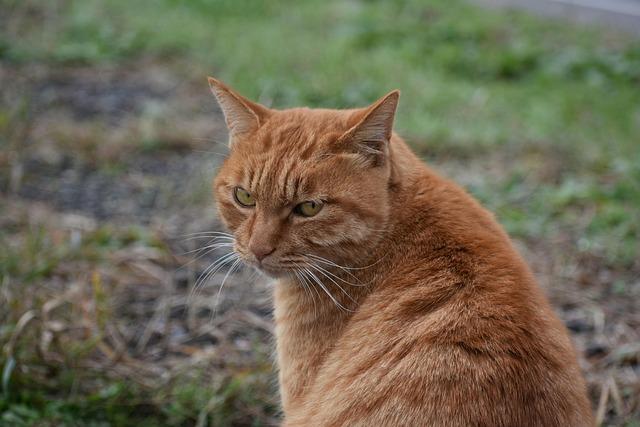 Boost Your Performance: Why Adjusting Your Eye Line Could Change Everything