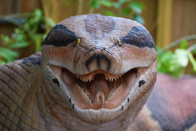 Scheffler Shocks Fans with Unexpected Withdrawal from Houston Open