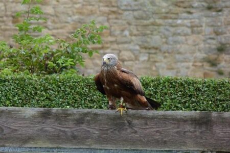 Bolton: Midseason Fantasy Break Offers the Ultimate Reset Ahead of a Busy Stretch