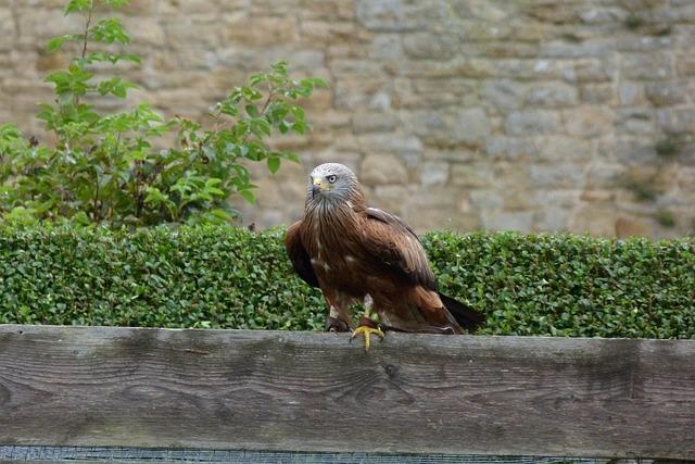 Bolton: Midseason Fantasy Break Offers the Ultimate Reset Ahead of a Busy Stretch